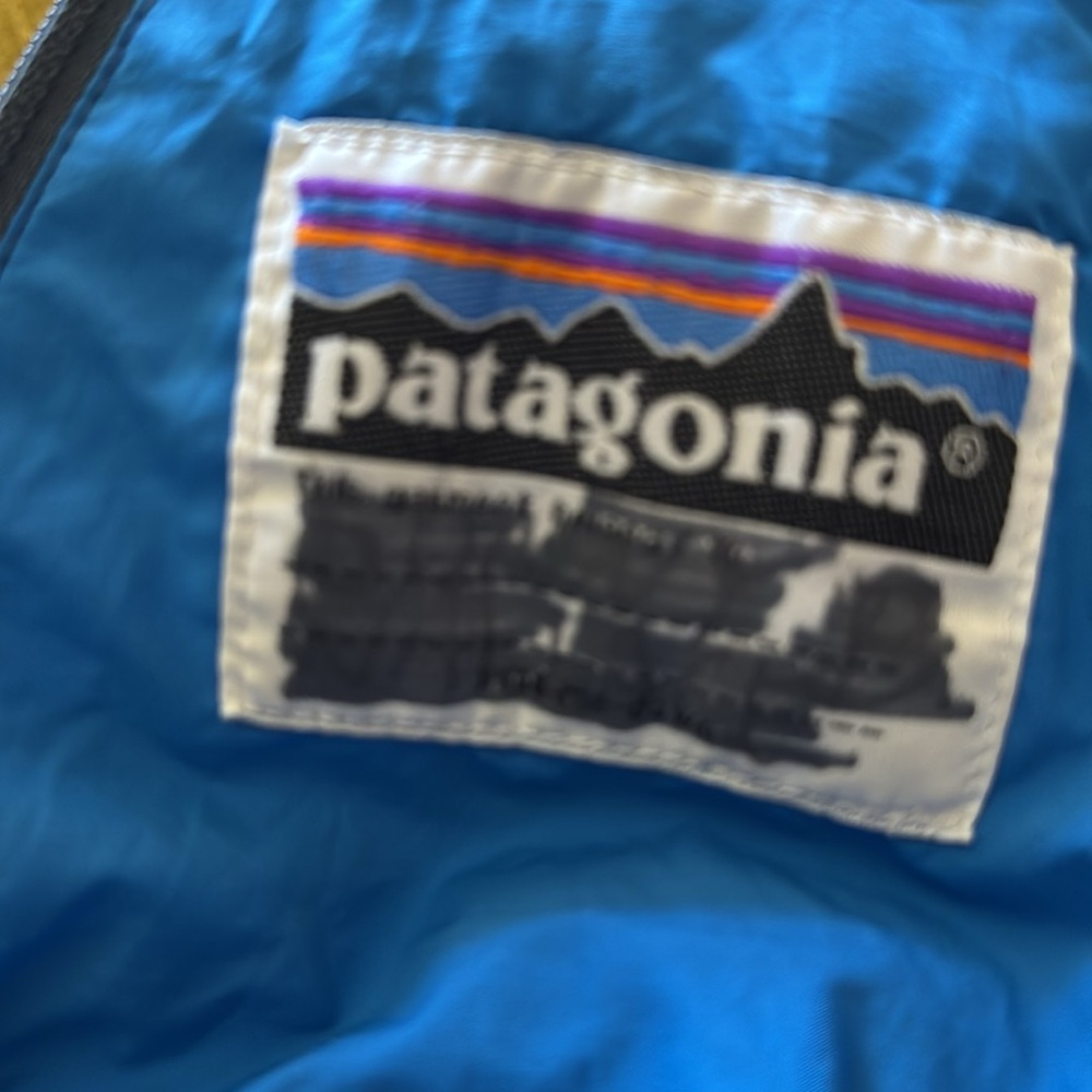 Patagonia Down Bunting - Picture 5 of 5